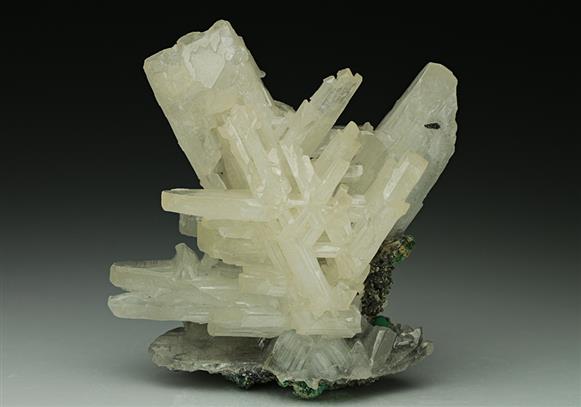 CC6877 specimen image