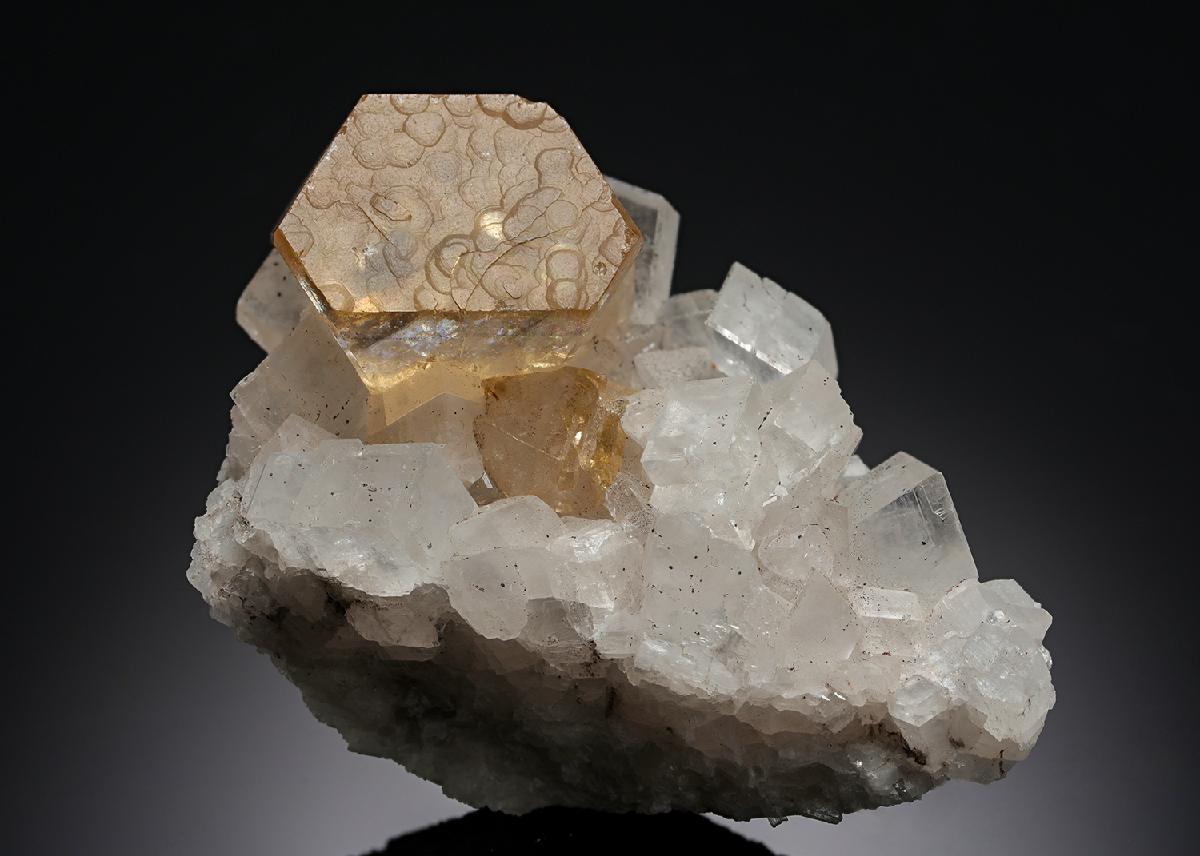 CC6880 specimen image