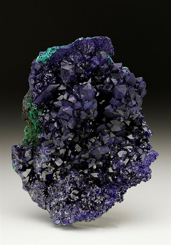 CC6881 specimen image
