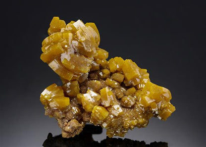 CC6883 specimen image