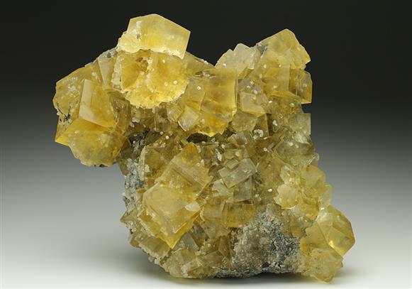 CC6895 specimen image