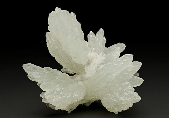 CC6897 specimen image