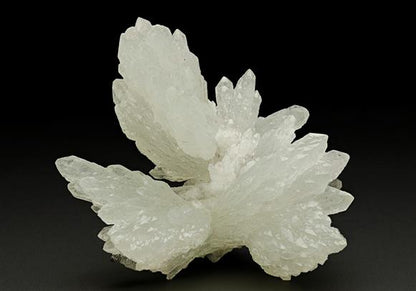 CC6897 specimen image