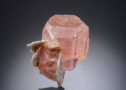 CC6903 specimen image