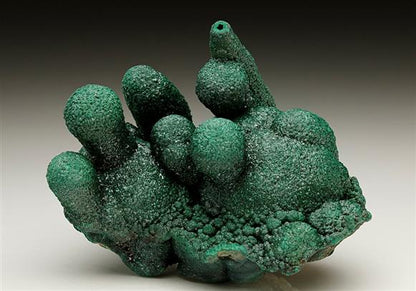 CC6911 specimen image