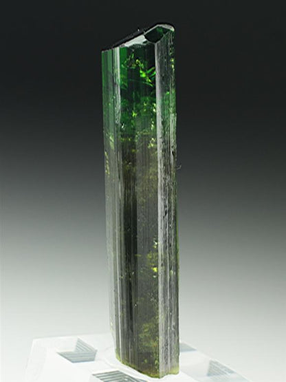 CC6916 specimen image