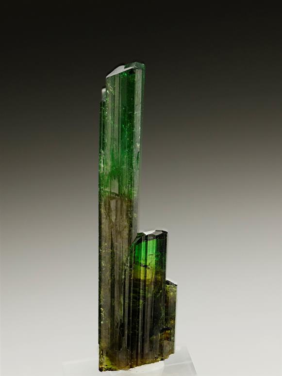 CC6946 specimen image