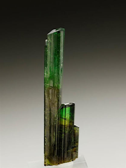 CC6946 specimen image