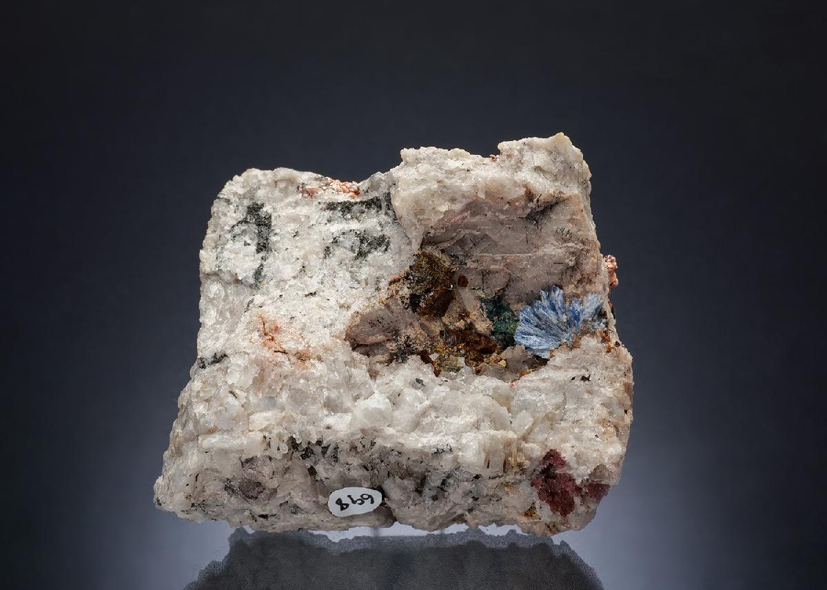 CC698 specimen image