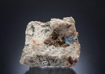 CC698 specimen image