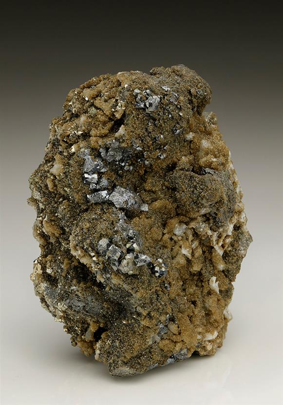 CC6981 specimen image