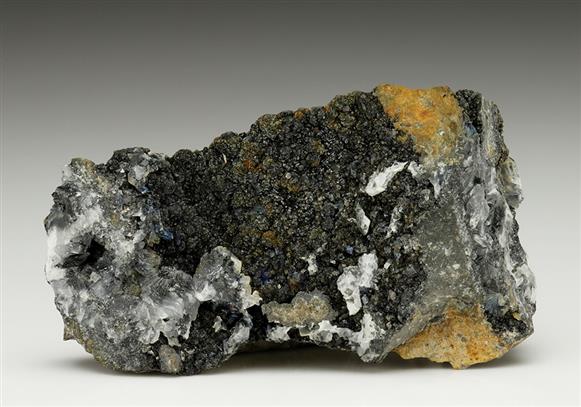 CC6998 specimen image