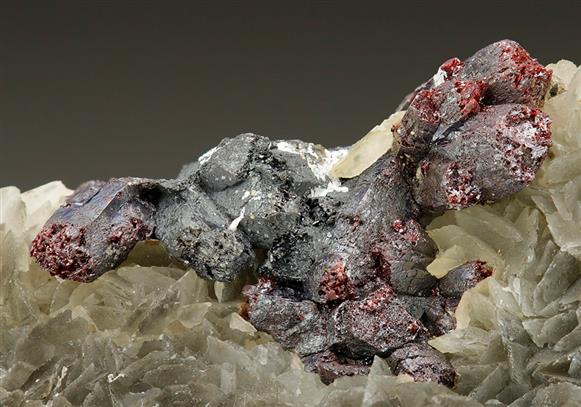 CC7009 specimen image