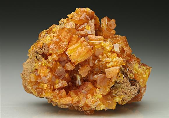 CC7013 specimen image