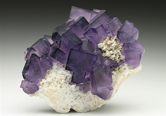 CC7016 specimen image