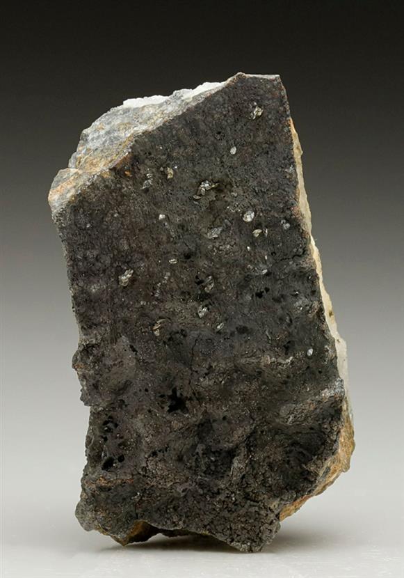 CC7035 specimen image