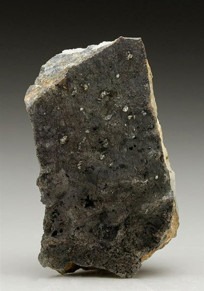 CC7035 specimen image