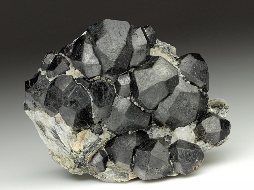 CC7045 specimen image
