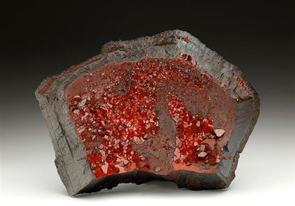 CC7051 specimen image