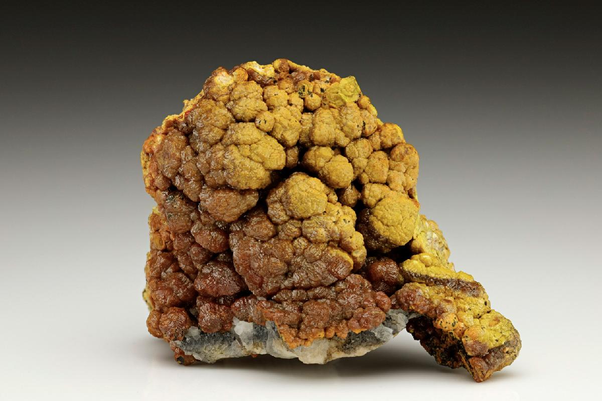 CC7054 specimen image