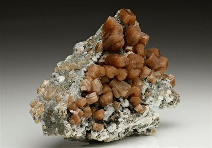 CC7056 specimen image
