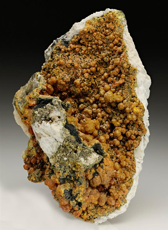 CC7060 specimen image