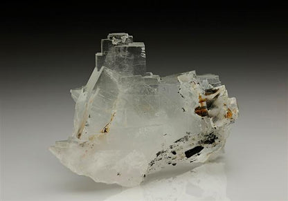 CC7065 specimen image