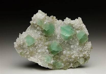 CC7073 specimen image