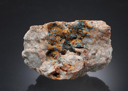 CC707 specimen image