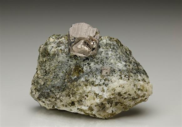 CC7100 specimen image