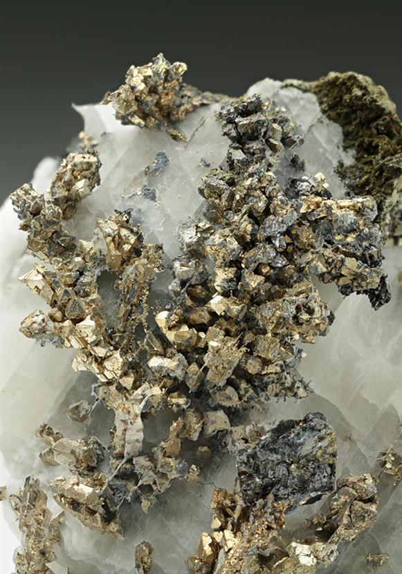 CC7107 specimen image