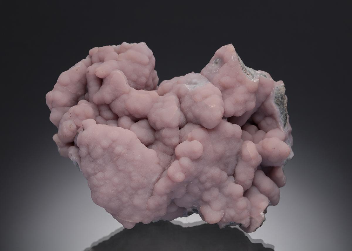 CC7145 specimen image