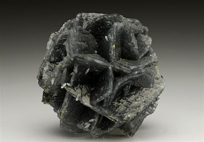 CC7150 specimen image