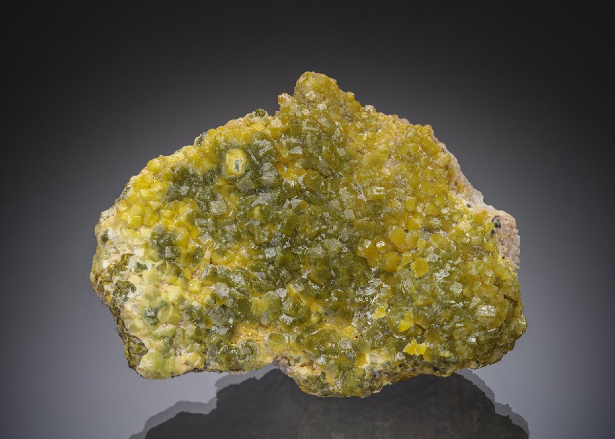 CC7152 specimen image