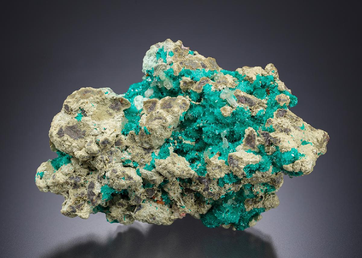 CC7153 specimen image