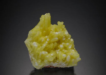 CC7162 specimen image
