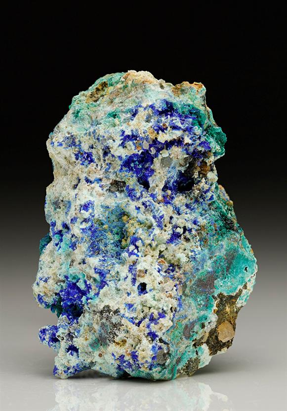 CC7198 specimen image
