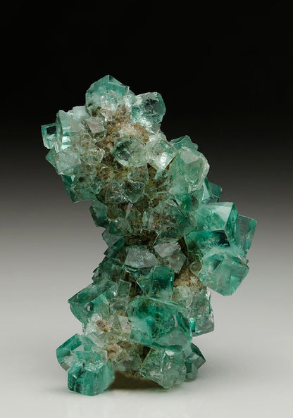 CC7216 specimen image