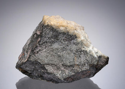 CC7228 specimen image