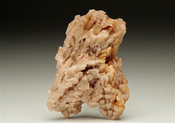 CC7245 specimen image