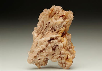 CC7245 specimen image