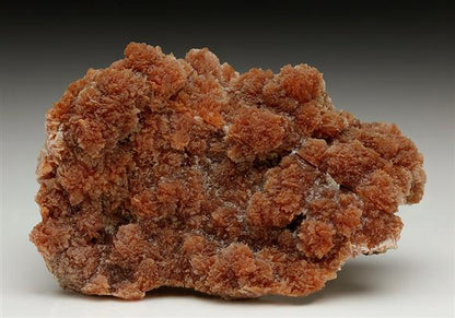 CC7247 specimen image