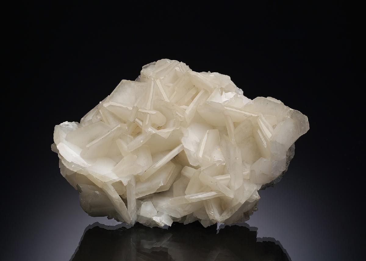 CC7259 specimen image