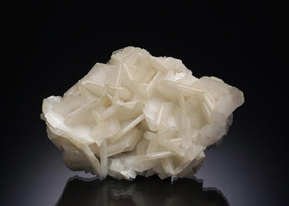 CC7259 specimen image