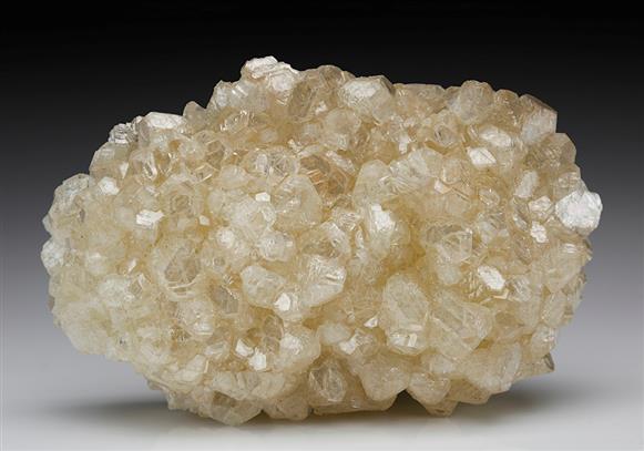 CC7274 specimen image