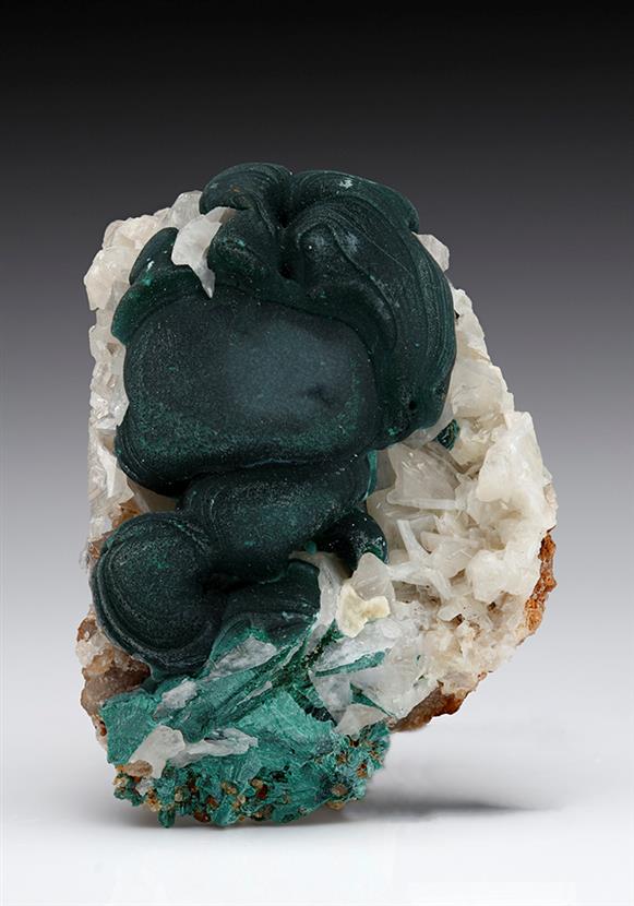 CC7280 specimen image