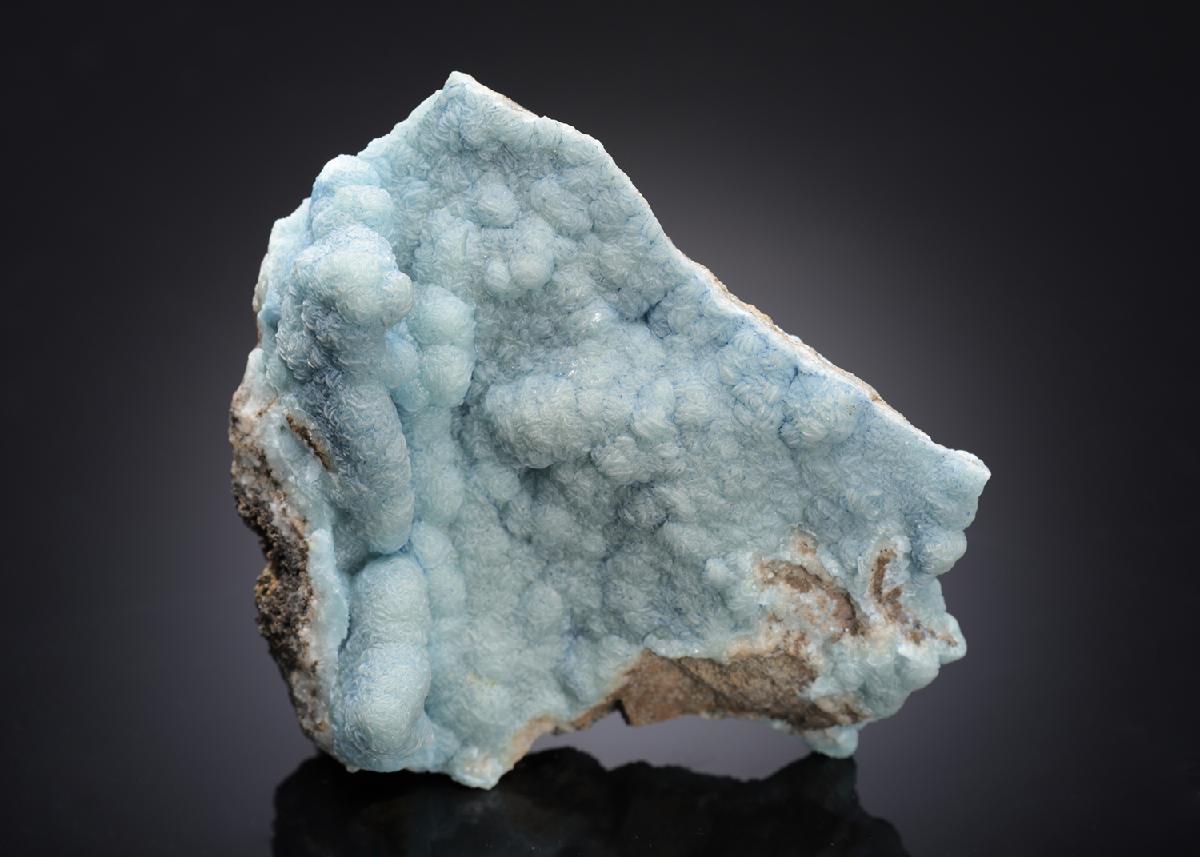 CC7296 specimen image