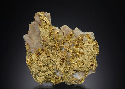 CC7299 specimen image