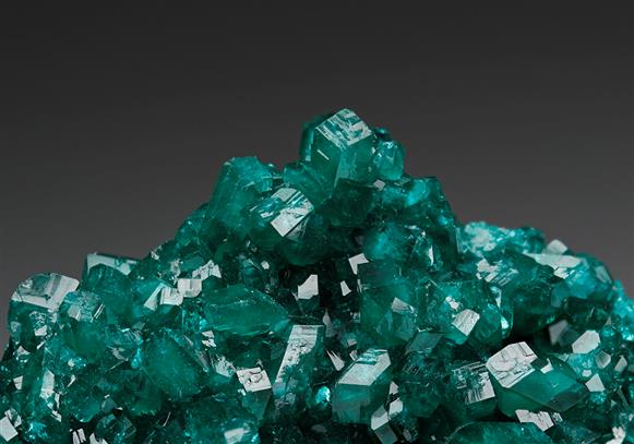 CC7300 specimen image