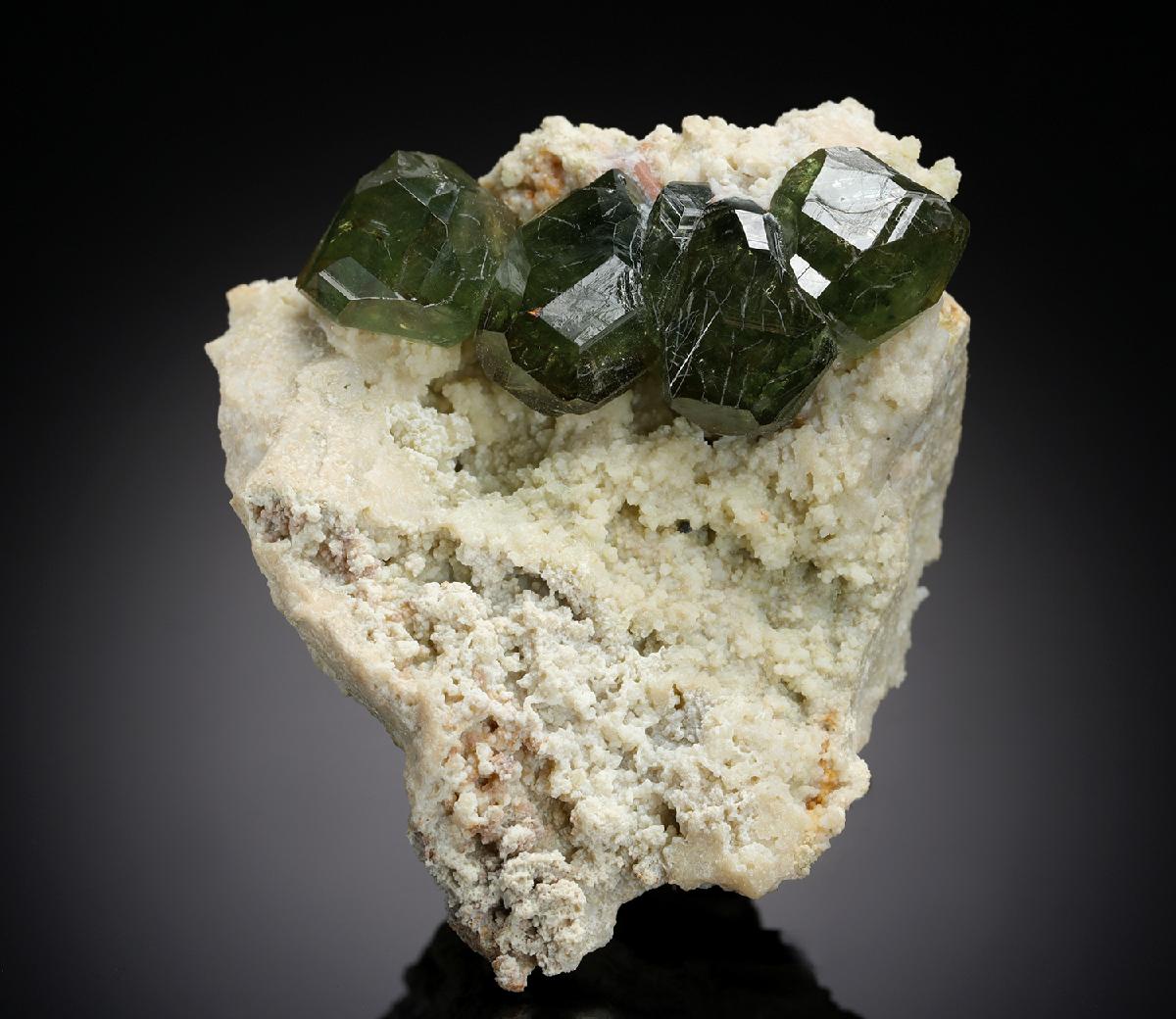 CC7302 specimen image